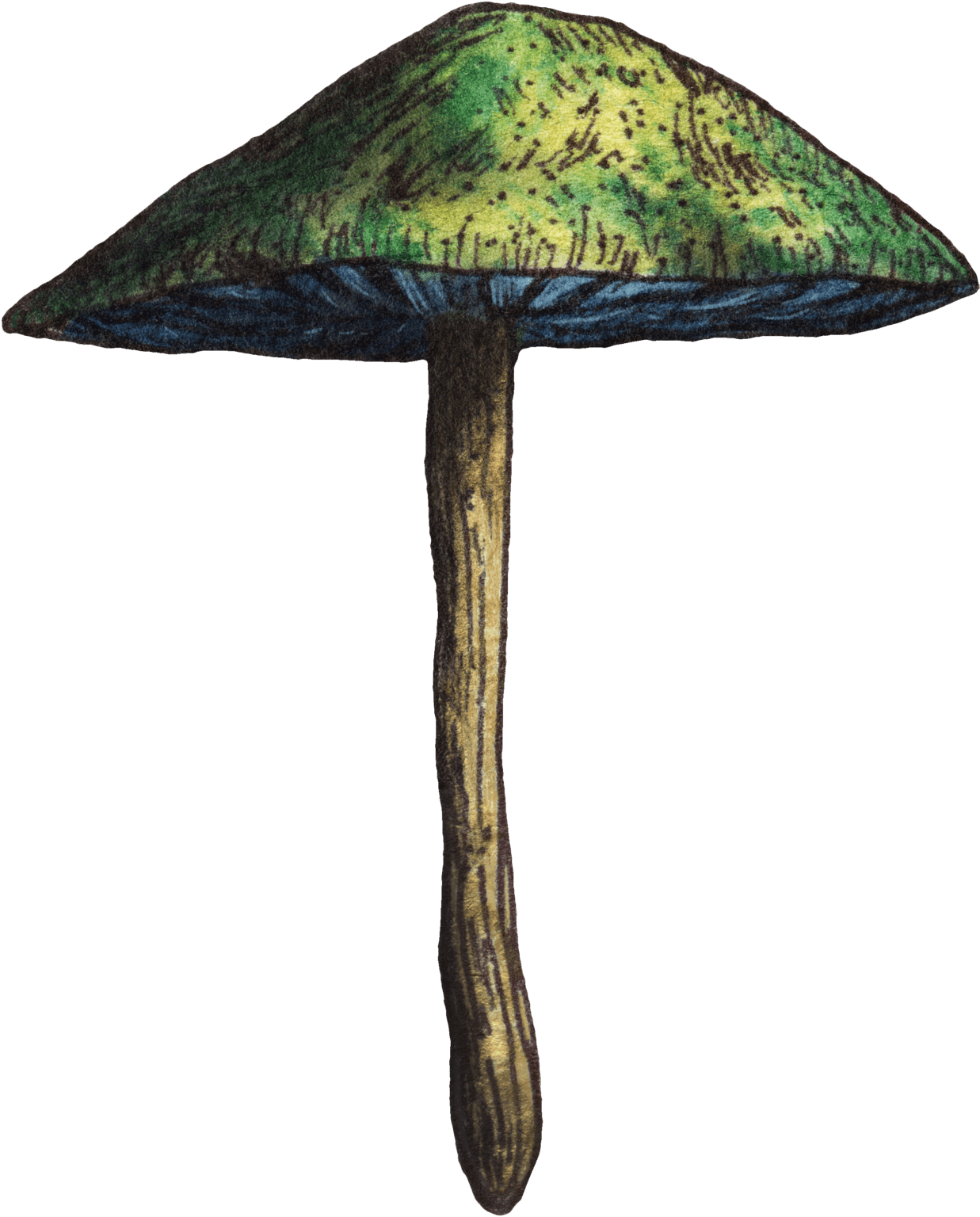 The Spore Depot - Premium Quality Psilocybin Mushroom Spores